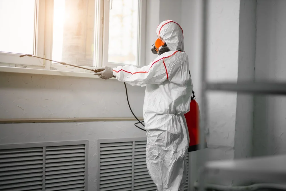 Professional mold remediation services in Marion, WI